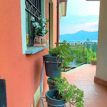 - Scintilla Di